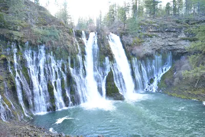 DSC_5932 (Large).JPG